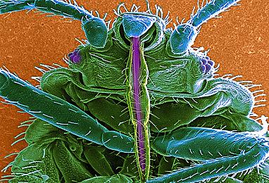 战争策略动作游戏《清算》现已上线Steam平台 即将开启邀请测试